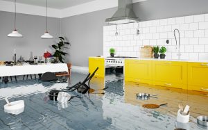 flood insurance