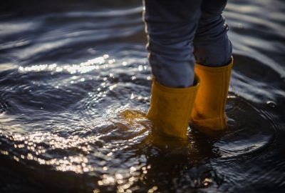 flood insurance